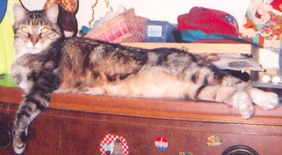 i miss my handsome guy!!!!!!